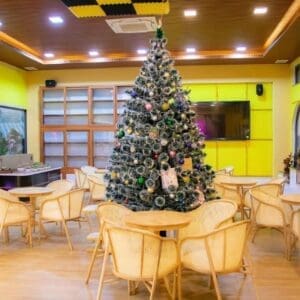 bàn ghế cafe sang trọng ghế gỗ Cavallo