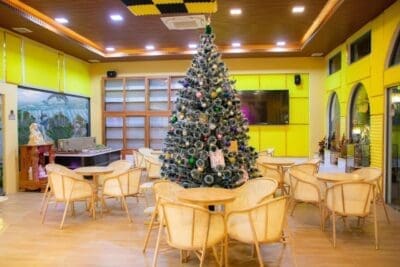 bàn ghế cafe sang trọng ghế gỗ Cavallo