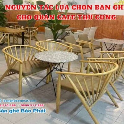 Nguyên tắc lựa chọn bàn ghế cho quán cafe thú cưng