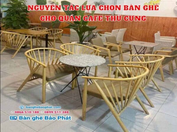 Nguyên tắc lựa chọn bàn ghế cho quán cafe thú cưng