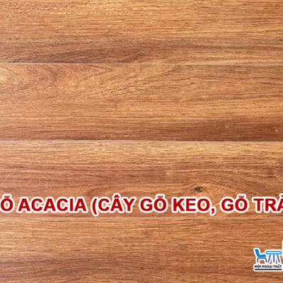 Gỗ Acacia (Cây gỗ keo, gỗ tràm)