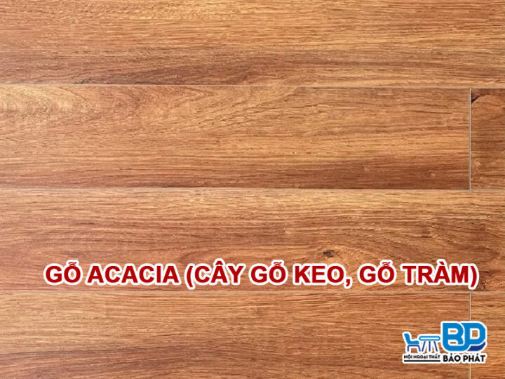 Gỗ Acacia (Cây gỗ keo, gỗ tràm)
