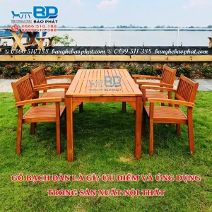 Gỗ bạch đàn là gì? Ưu điểm và ứng dụng trong sản xuất nội thất