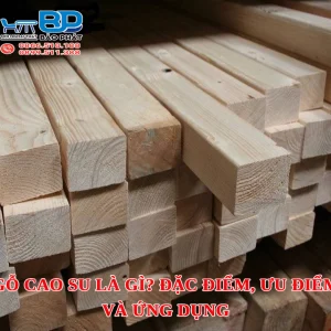 Gỗ cao su là gì? Đặc điểm, ưu điểm và ứng dụng