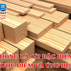 Gỗ thông là gì? Đặc điểm, ưu nhược điểm và ứng dụng