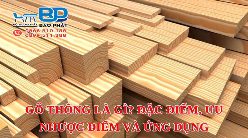 Gỗ Thông là gì? Đặc điểm, Ưu nhược điểm và Ứng dụng của gỗ Thông 9 Gỗ thông là gì? Đặc điểm, ưu nhược điểm và ứng dụng