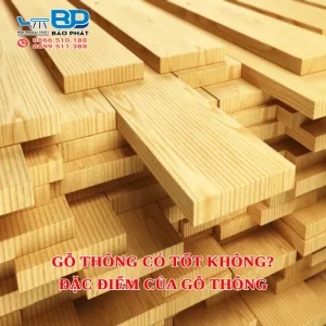 Gỗ thông có tốt không? Đặc điểm của gỗ thông