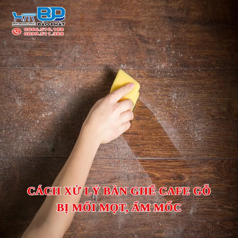 Cách Xử Lý Bàn Ghế Cafe Gỗ Bị Mối Mọt, Ẩm Mốc 6 Cách xử lý bàn ghế cafe gỗ bị mối mọt, ẩm mốc