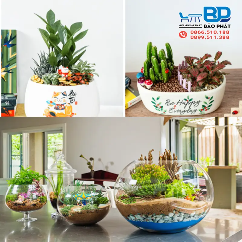 Ý Tưởng Trang Trí Bàn Cafe Đơn Giản Mà Ấn Tượng 8 Sử dụng cây xanh mini trang trí bàn cafe