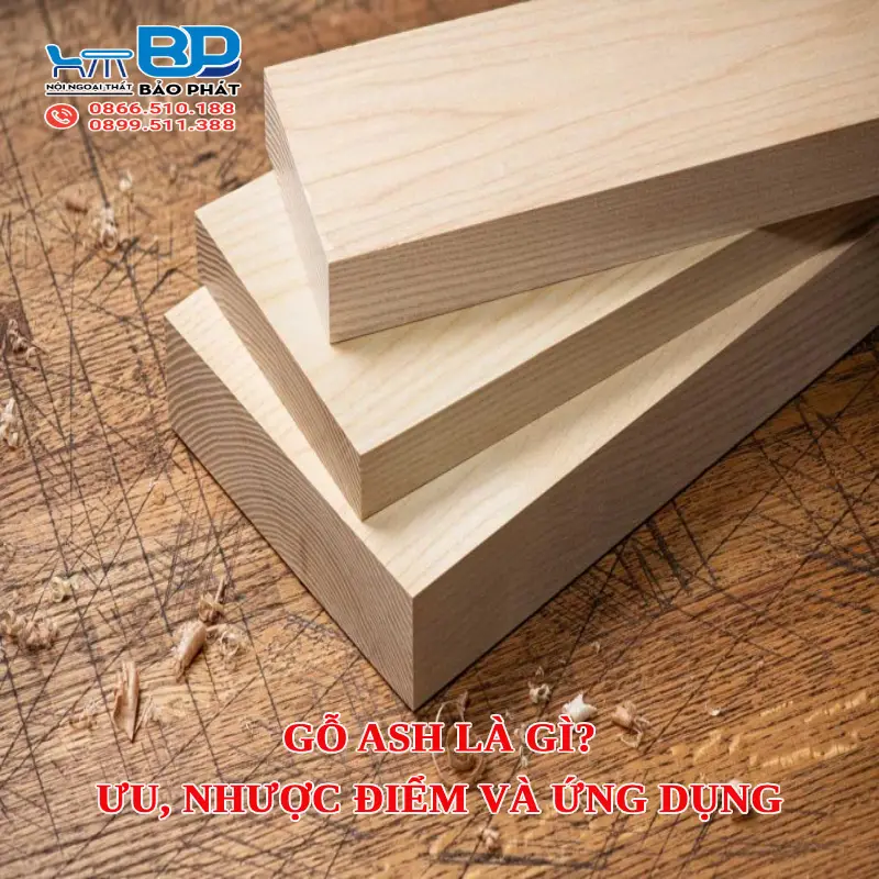 Gỗ ash là gì? Ưu, nhược điểm và ứng dụng