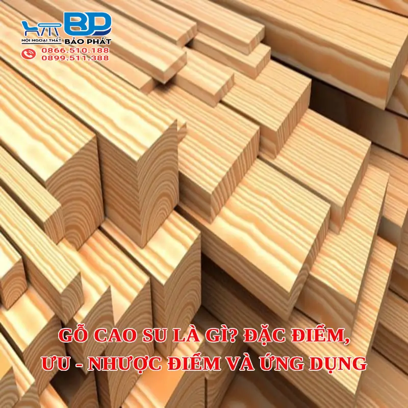 Gỗ cao su là gì? Đặc điểm, ưu - nhược điểm và ứng dụng