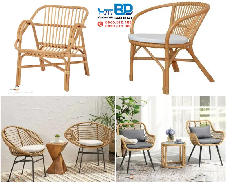 Cây Mây Là Gì? Hình Thái, Ưu Nhược Điểm Và Ứng Dụng 9 Cây mây dẻo dai, bền bỉ