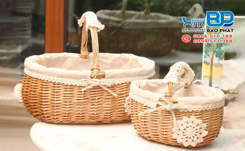 Cây Mây Là Gì? Hình Thái, Ưu Nhược Điểm Và Ứng Dụng 11 Giỏ mây độc đáo