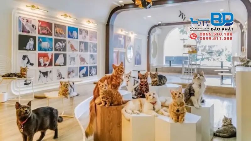7 Mẫu Mô Hình Quán Cafe 100 Triệu Tối Ưu Chi Phí, Phù Hợp Mọi Mặt Bằng 12 Mô hình quán cafe 100 triệu kiểu cafe thú cưng mini