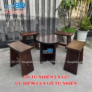 Gỗ tự nhiên là gì? Ưu điểm của gỗ tự nhiên