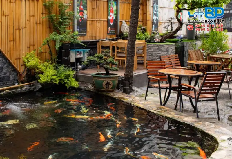 Thiết kế quán cafe cá Koi hiện đại