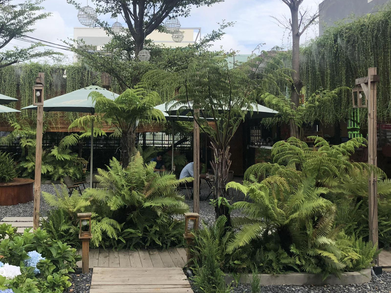 Bố trí cây xanh cho quán cafe sân vườn 100m2