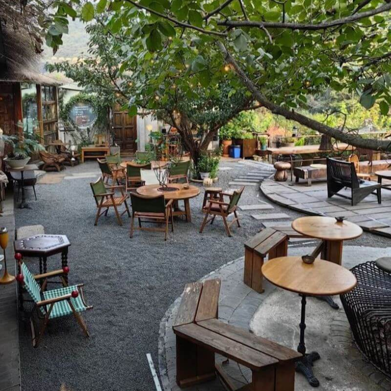 Thiết kế quán cafe sân vườn 100m2 phong cách Nhiệt Đới 