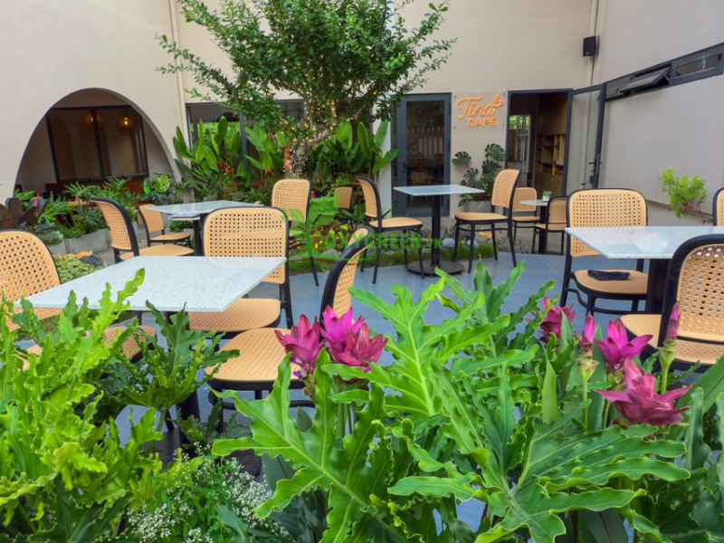 Quán cafe sân thượng phong cách Nhiệt Đới 