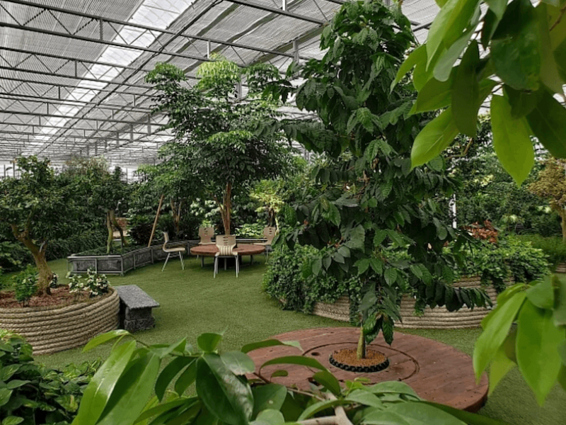 Thiết kế quán cafe sân vườn 100m2 phong cách Nhiệt Đới