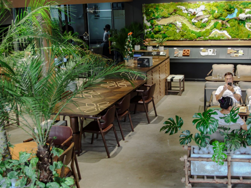 Thiết kế quán cafe 50m2 theo phong cách thiên nhiên xanh mát